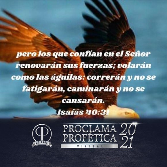 soniacastell771